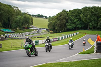 Evening Low_Mid Group Green Bikes